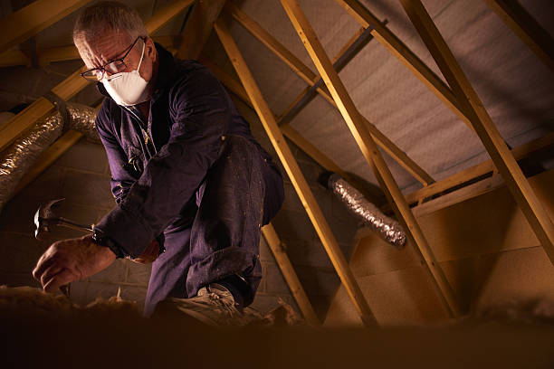 Best Attic Insulation Installation  in Penn Wynne, PA